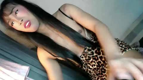 _asiancutie online show from March 17, 7:38 pm