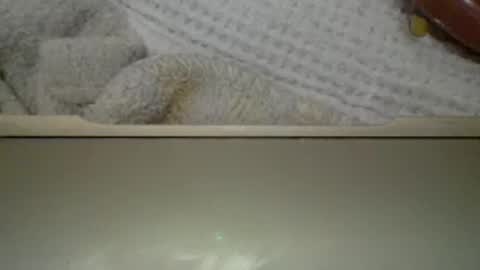 c online show from March 9, 2:26 am