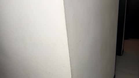 Andy van der Rose online show from November 14, 7:27 am