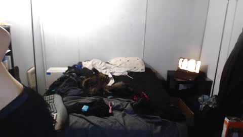 Ani online show from March 4, 8:02 am