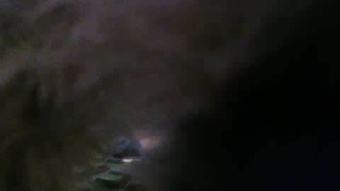 Ani online show from March 8, 7:01 am