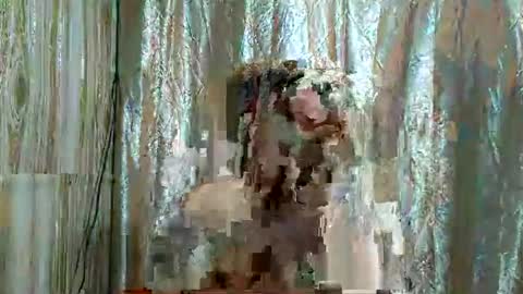 CHANTAL online show from April 30, 12:09 pm