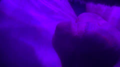 crazyfreak123455 online show from November 22, 6:59 am