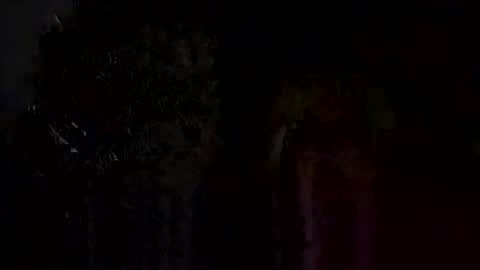 dbikes182 online show from February 8, 11:38 am