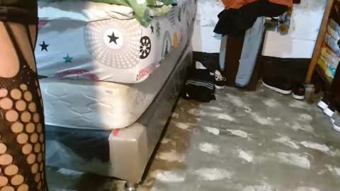 dreamreal online show from April 8, 11:11 am