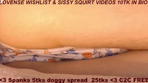 Meadow online show from February 14, 11:17 am