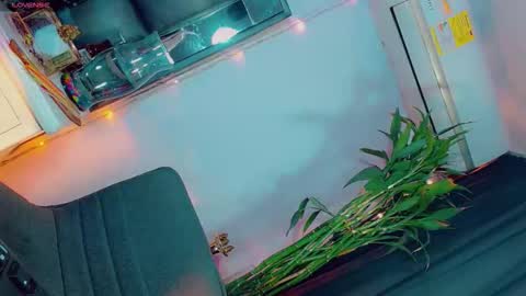 isabellagirs online show from April 16, 8:04 am