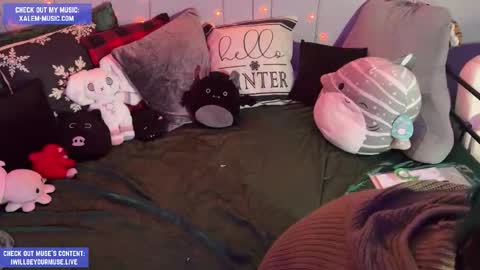 Muse hethey online show from November 27, 12:35 am