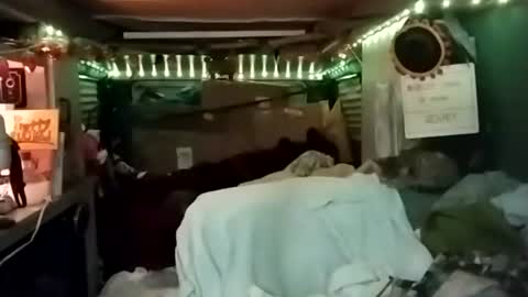 LesleyGumGrass- The Boring Trans girl online show from November 18, 2:44 am