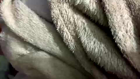 Snapshot of little_sissy_wendy chatting on February 28, 9:33 pm little_sissy_wendy online show from February 28, 9:33 pm