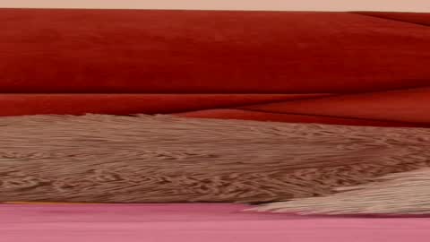 MAITHEFERRER online show from March 11, 11:25 am