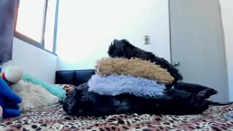 Melissa Galindo online show from October 2, 7:13 pm