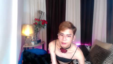 Stella online show from February 3, 3:17 pm