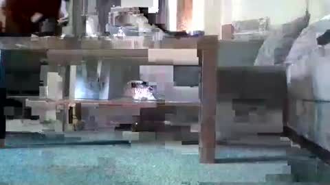 Nikola online show from May 11, 8:53 am
