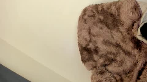 selena online show from January 3, 6:22 am