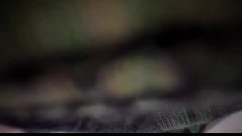 Tears Lora online show from February 25, 5:08 am