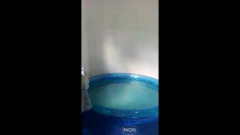 Dome Passiva697 online show from January 11, 6:47 pm