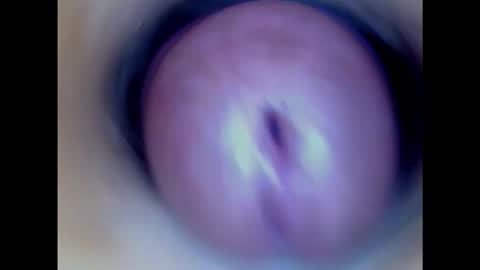 Paula 18 Aninhos online show from November 16, 8:24 am