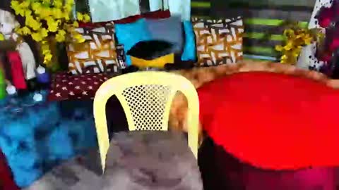 phcumdelight online show from February 16, 5:37 pm