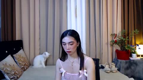 shakira online show from February 5, 8:04 pm