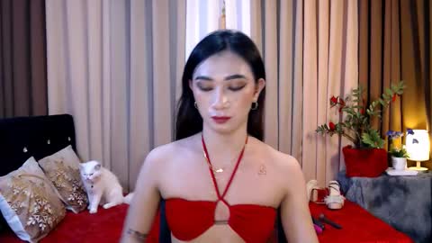 shakira online show from February 11, 8:20 pm