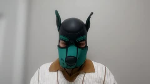 Pup Kori online show from June 13, 4:01 am