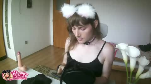 puppy_liza online show from June 3, 8:15 am