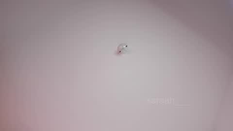   online show from March 15, 6:27 am