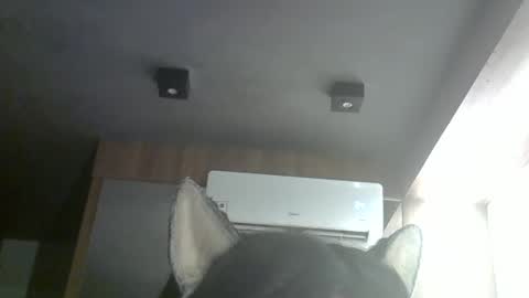 skinnykittencam online show from April 18, 2:46 am