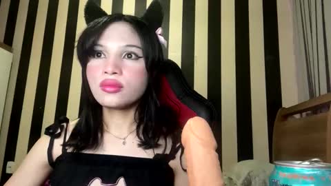 stellapapillon online show from February 16, 10:40 pm