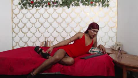 sweetiecarteer online show from February 28, 6:31 am