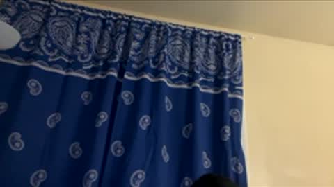 Tessa Kocks online show from December 2, 10:18 am