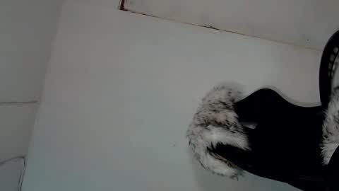 Snapshot of tgirl_luna69 chatting on January 10, 3:18 am Luna online show from January 10, 3:18 am