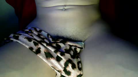 trans_ativa_br online show from June 28, 6:29 am