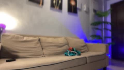 kendall online show from January 13, 2:14 pm