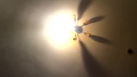 venus_tsdoll online show from November 8, 8:31 pm