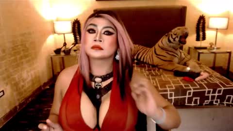 wildtransjhade online show from January 19, 6:43 pm