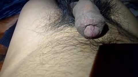 zoolilur online show from December 23, 1:08 am