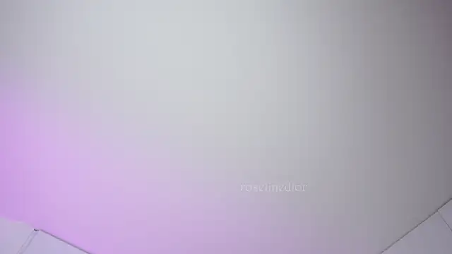 roselinedior online show from October 8, 3:46 pm