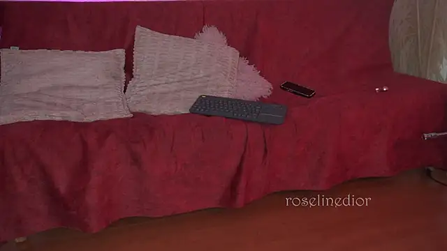 roselinedior online show from November 29, 5:26 pm