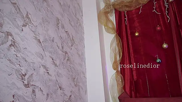 roselinedior online show from December 19, 11:59 am