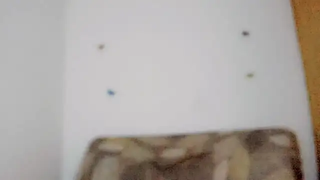 TatiGil online show from April 10, 8:47 pm