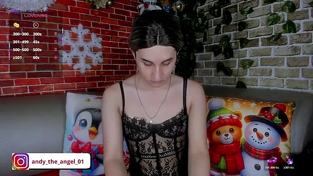 andy angell1 online show from January 10, 1:06 pm