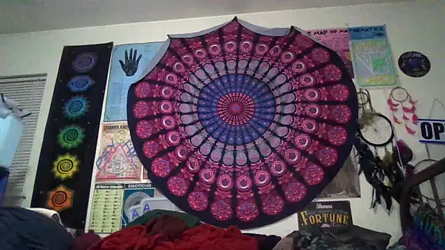 GardeniaFields online show from March 20, 9:43 am