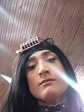 translatina777 online show from December 6, 12:28 am