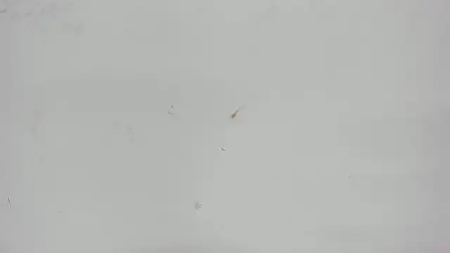 Aisha hotts777 online show from April 15, 3:12 am