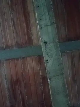 Megan2026 online show from February 19, 11:11 pm