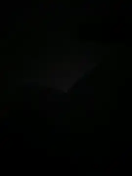 lanouvelle93 online show from May 19, 1:33 am