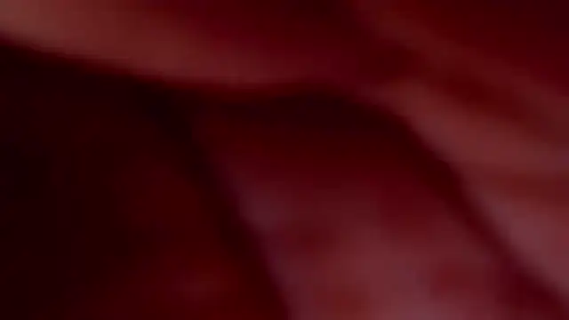 HorseCockJasmineTS online show from November 24, 11:01 am