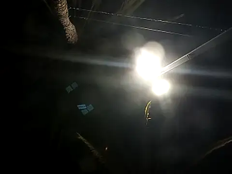 dustbunny64 online show from June 23, 5:59 am
